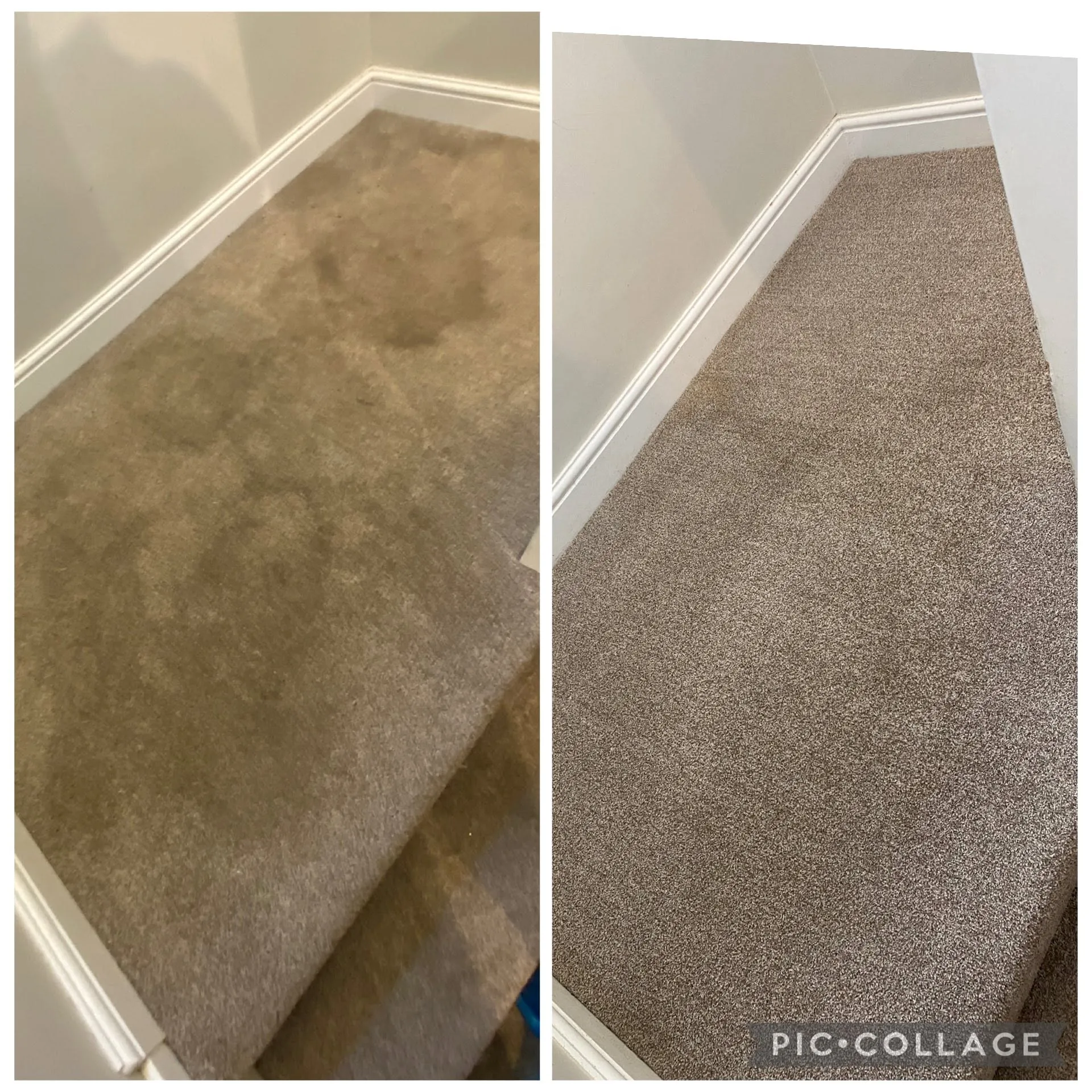 Before and after professional carpet cleaning in Hemel Hempstead, deep clean results